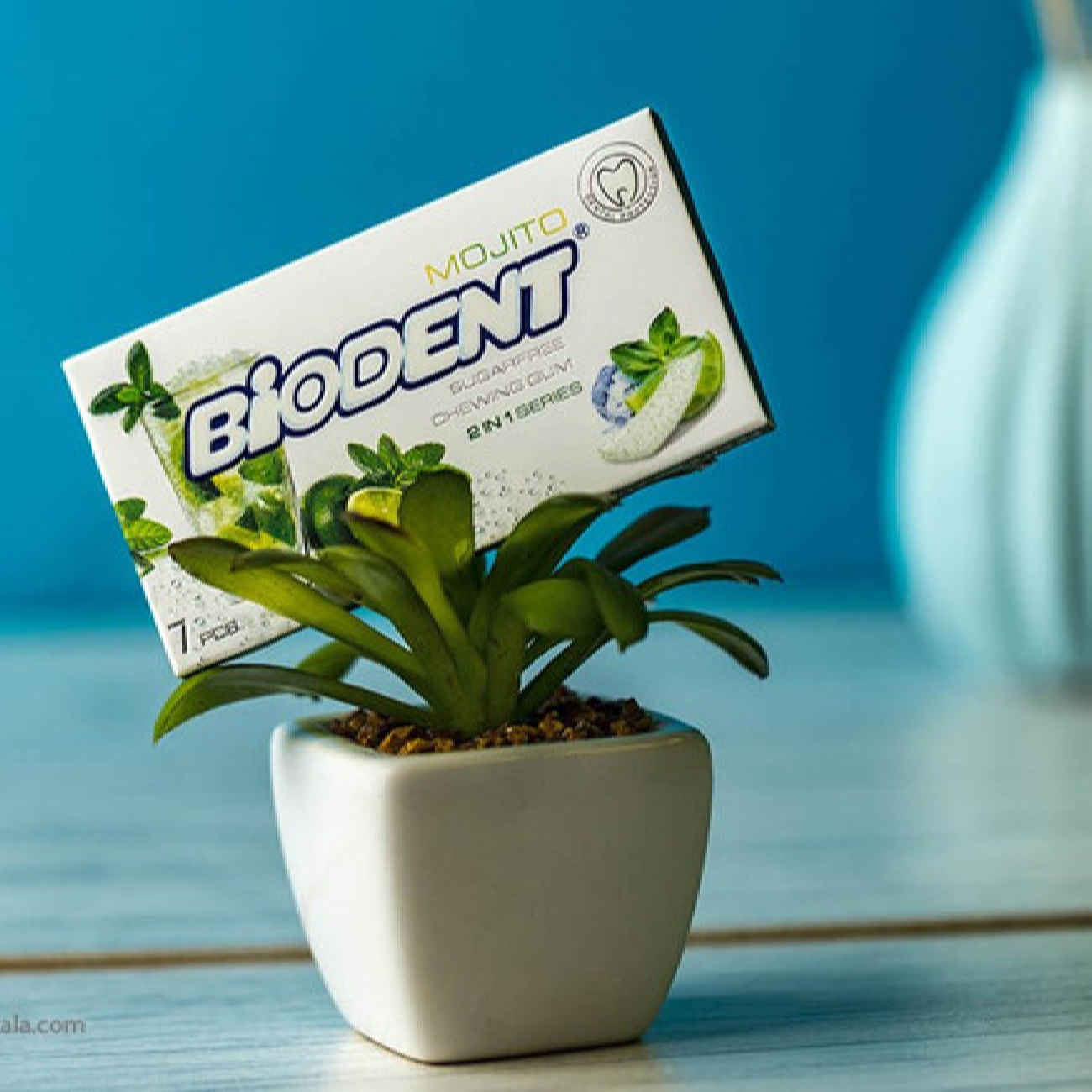 Sugar-Free Mini Stick Chewing Gum with Mojito Flavor by Biodent (12 Pcs)
