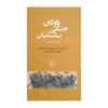 The Sasanian War Fleet Myth or Reality by Vladimir A. Dmitriev (Farsi)