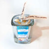 Blue Handmade Candle, The Spirit of the Ocean in Every Flam