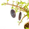 Bohemian Wooden Earring – Lightweight Handmade Jewelry for Nature Lovers