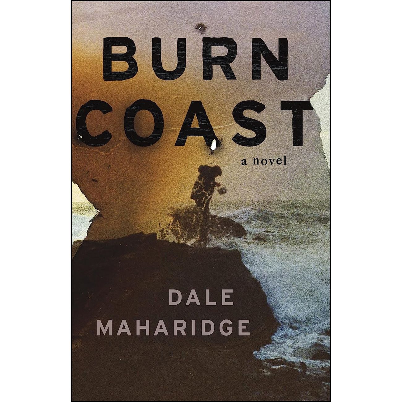 Burn Coast by Dale Maharidge (English)