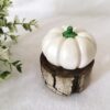 Decorative Pumpkin Ornament Suitable for Mantel and Table Settings, (Set of 2)