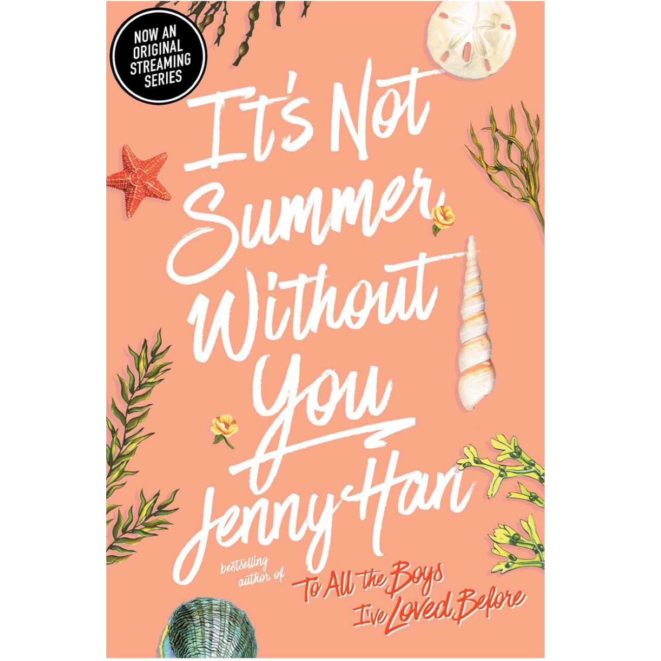 It Is Not Summer Without You by Jenny Han (English)