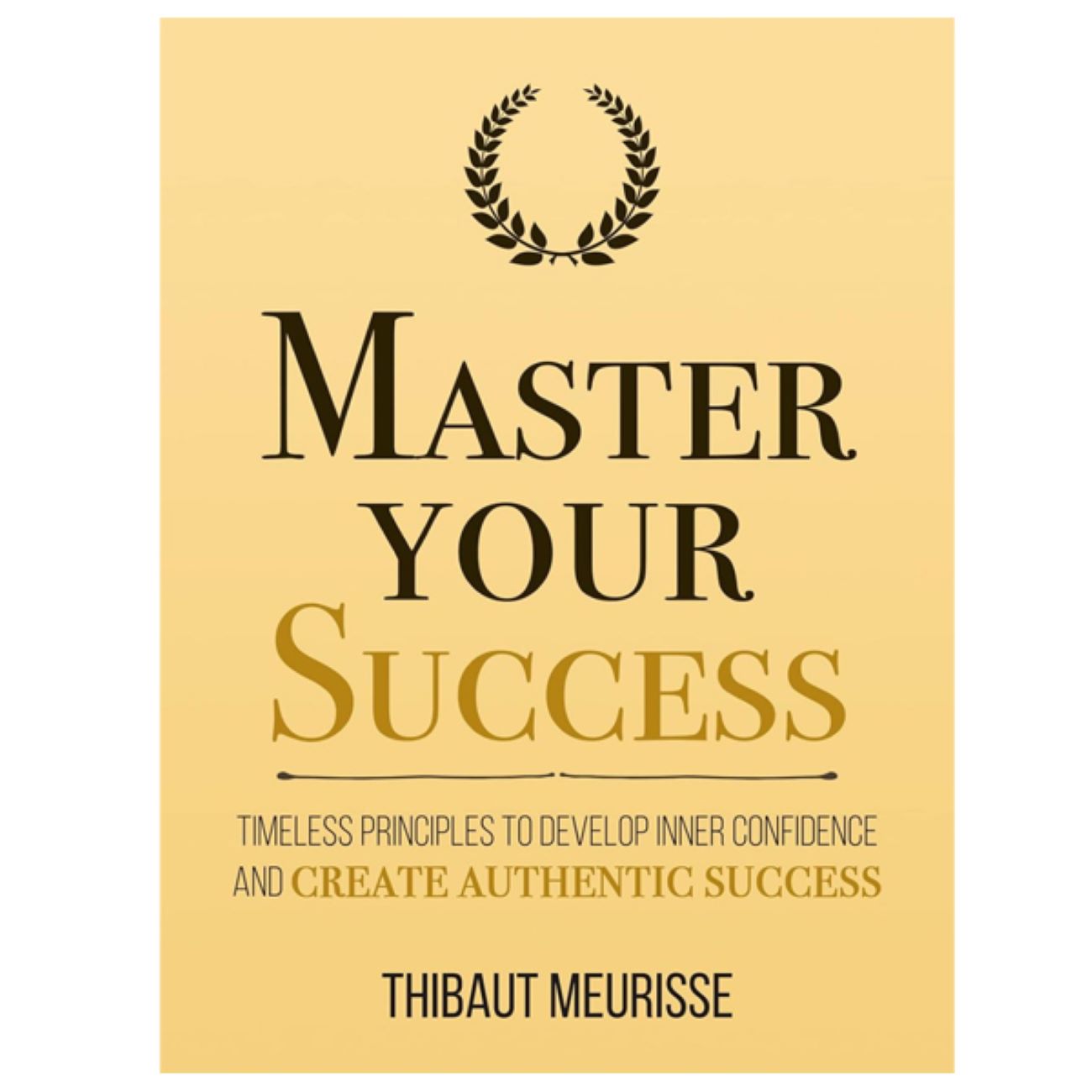 Master Your Success Book by Thibaut Meurisse