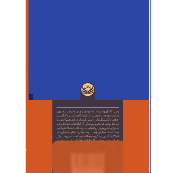 Nothing Is Black by Deirdre Madden (Farsi)