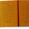 Selected Ghazals of Shams Tabrizi