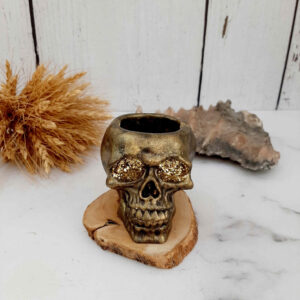 Skull Ashtray for Smokers – Unique Novelty Resin Ashtray for Home Décor, Bar, or Gift