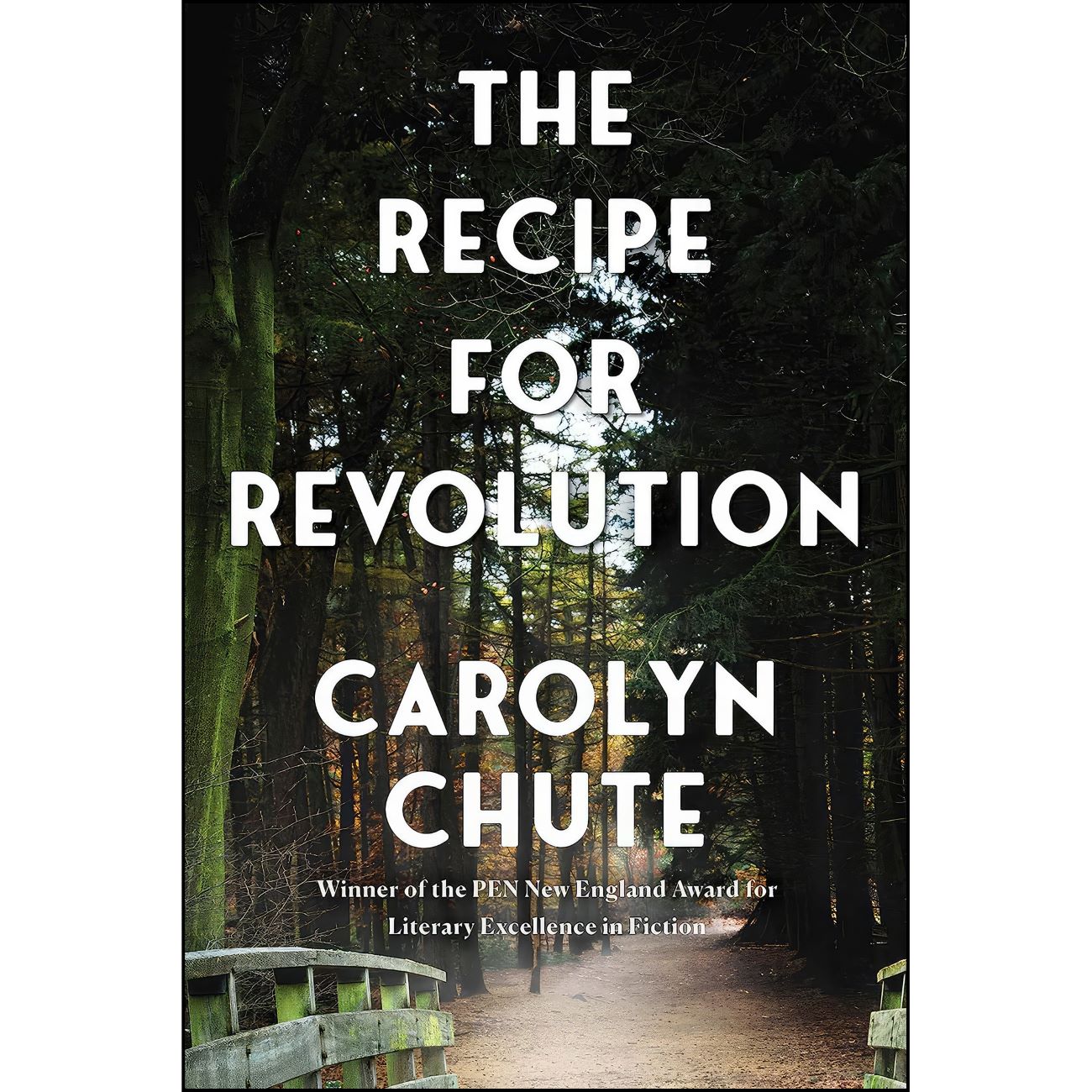 The Recipe for Revolution by Carolyn Chute (English)