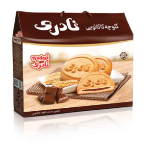 Naderi Chocolate Cookies in Box – Pack of 10 twin cookies (Koloocheh)