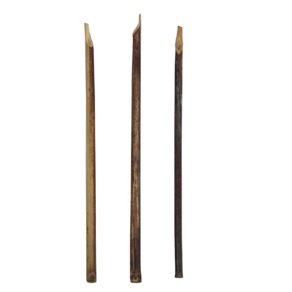 Qalam Reed Pen for Arabic & Islamic Calligraphy – Handmade Calligraphy Tool (3x)