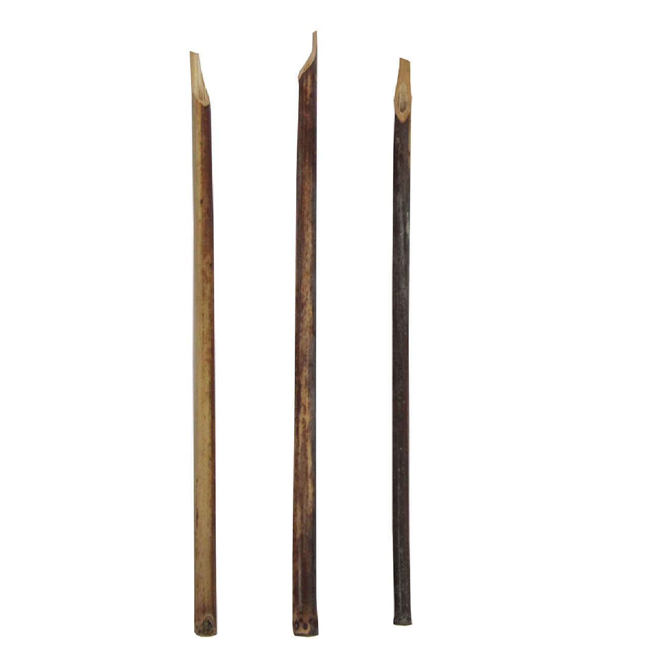 Qalam Reed Pen for Arabic & Islamic Calligraphy – Handmade Calligraphy Tool (3x)
