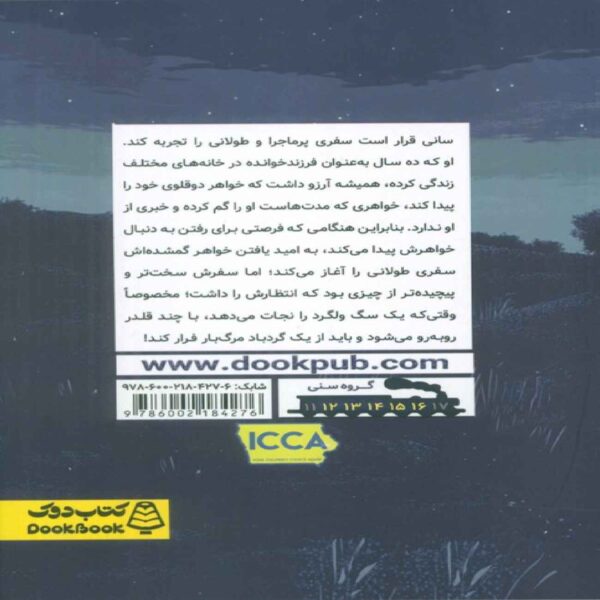 Runaway Twin Book by Peg Kehret (Farsi)