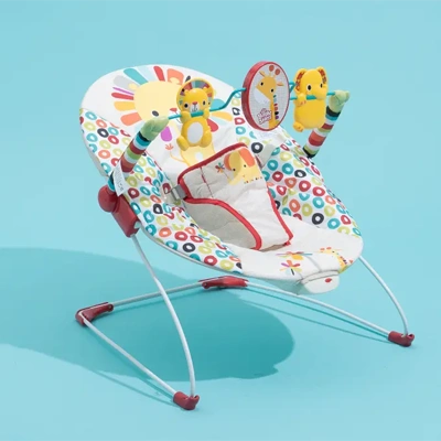 Baby Bouncers & Rockers – Shop online