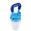 Baby Fruit & Food Feeder Pacifier – BPA-Free Silicone for Safe Eating
