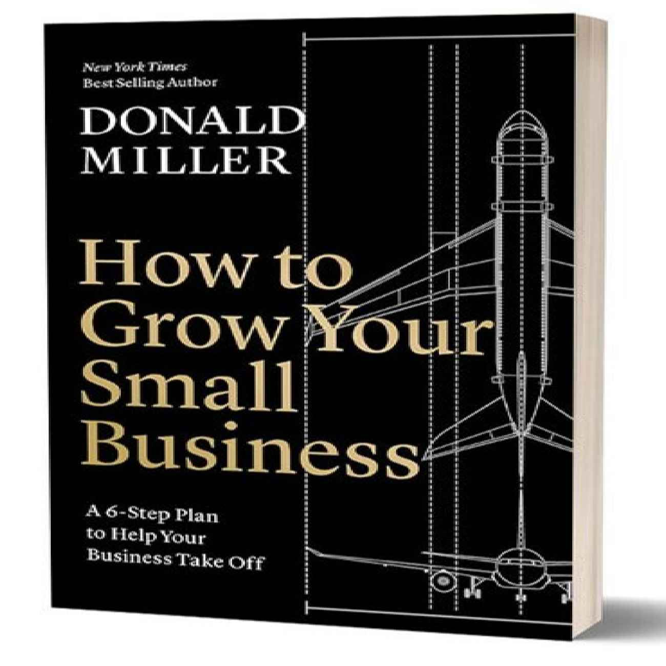 Business Made Simple-A Flight Plan for Small Businesses Book by Donald Miller (Farsi)