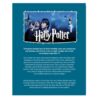 Harry Potter and the Sorcerer’s Stone Novel by J. K. Rowling (English)