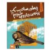 How to Own a Magical Bird Book by Marzieh Fellehghari