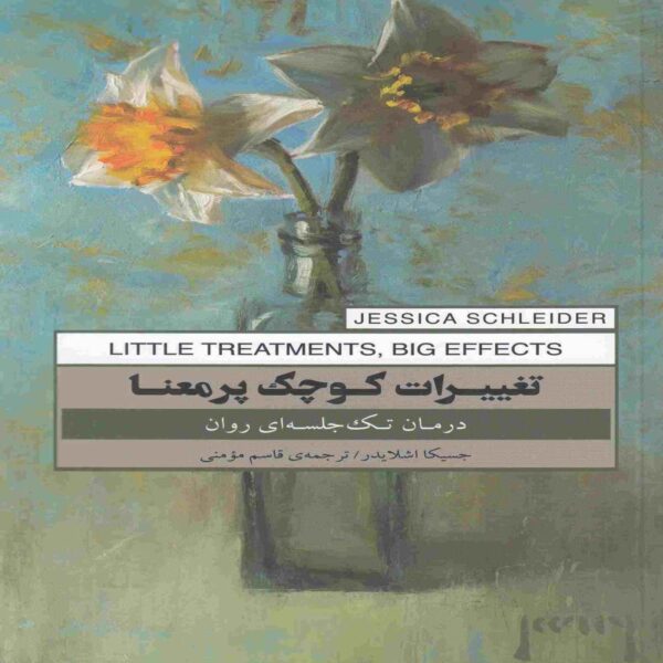 Meaningful Small Changes Book by Jessica Schider (Farsi)