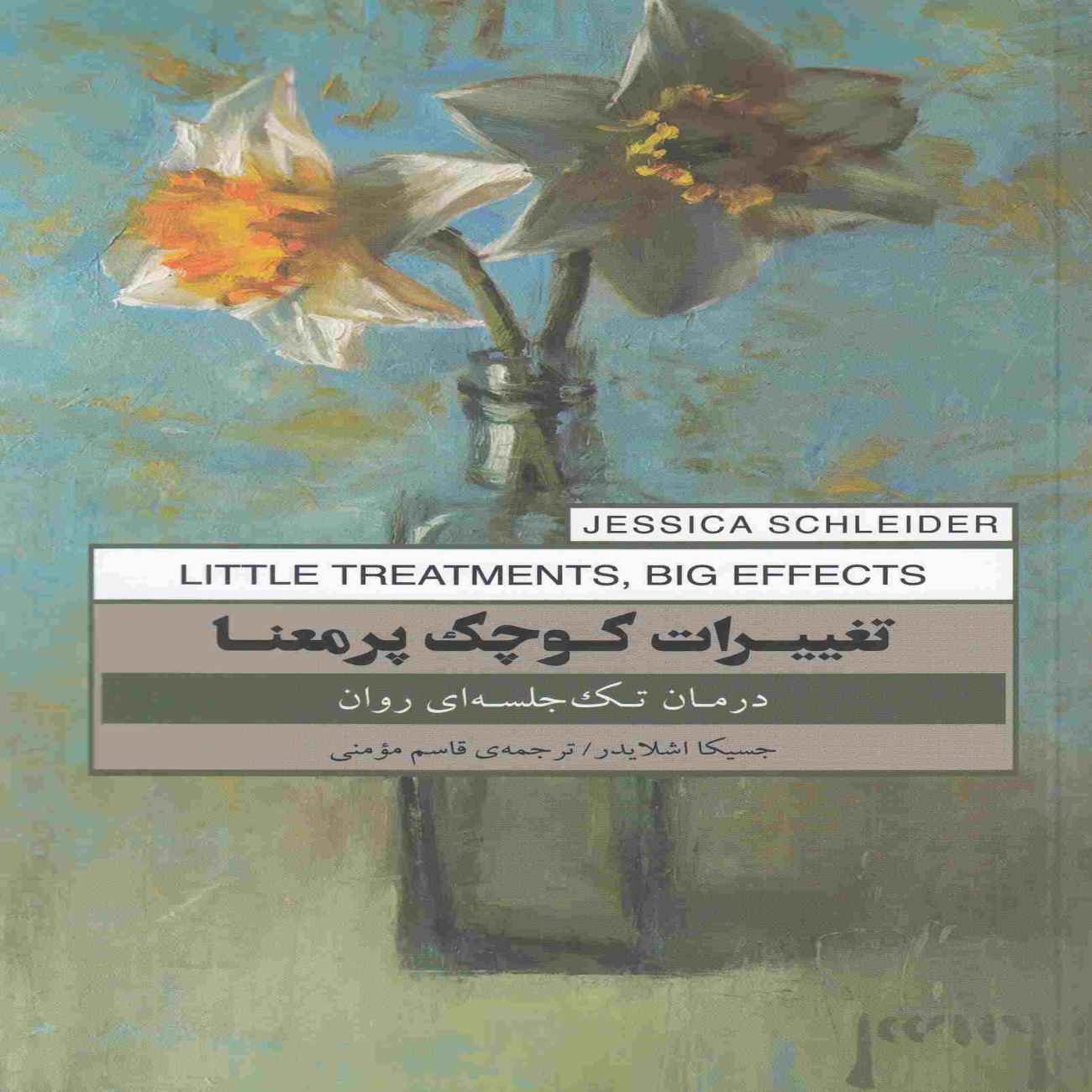 Meaningful Small Changes Book by Jessica Schider (Farsi)