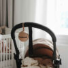 Pacifier Case – Portable Baby Pacifier Holder for Hygienic at Home or On-the-Go