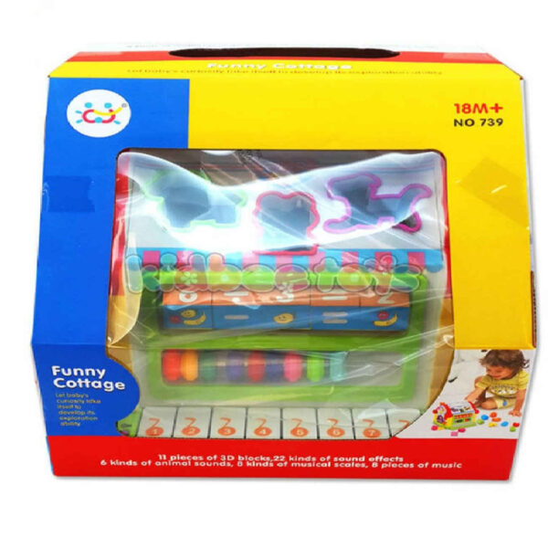 Smart Sorting Toy – Learn Shapes & Colors with House Design for Kids