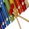 Xylophone for Kids - Best Beginner Instrument for Fun & Learning