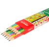 Aria Fruity Black Pencils – Perfect for School and Creative Projects Pack of 12