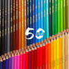 Arya Artist 50-Color Colored Pencils with Unique Fish Pattern