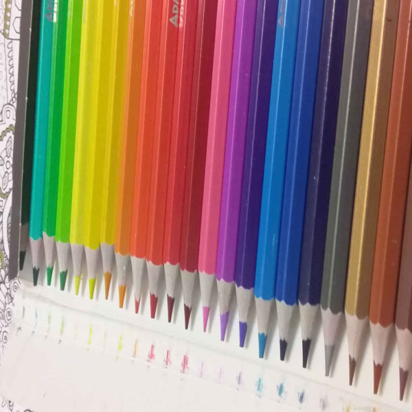 Bird-Themed 24 Colored Pencils by Admiral – Bright & Fun