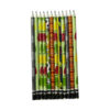 Sabz Black & Green Graphite Pencils – Durable Break-Resistant Pack of 24