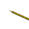Sabz Black & Green Pencils – Premium Quality & Smooth Writing Durable Break-Resistant Graphite Pack of 24