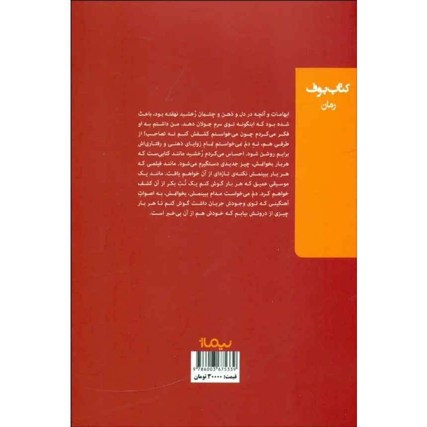The Secret of Rokhshid Revealed book by Ali Soltani