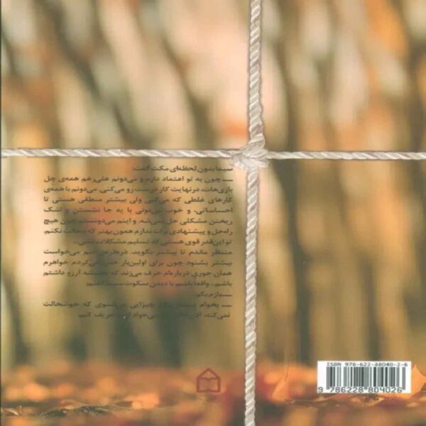 Timeless Meeting Book by Afsaneh Nikpour (Farsi)
