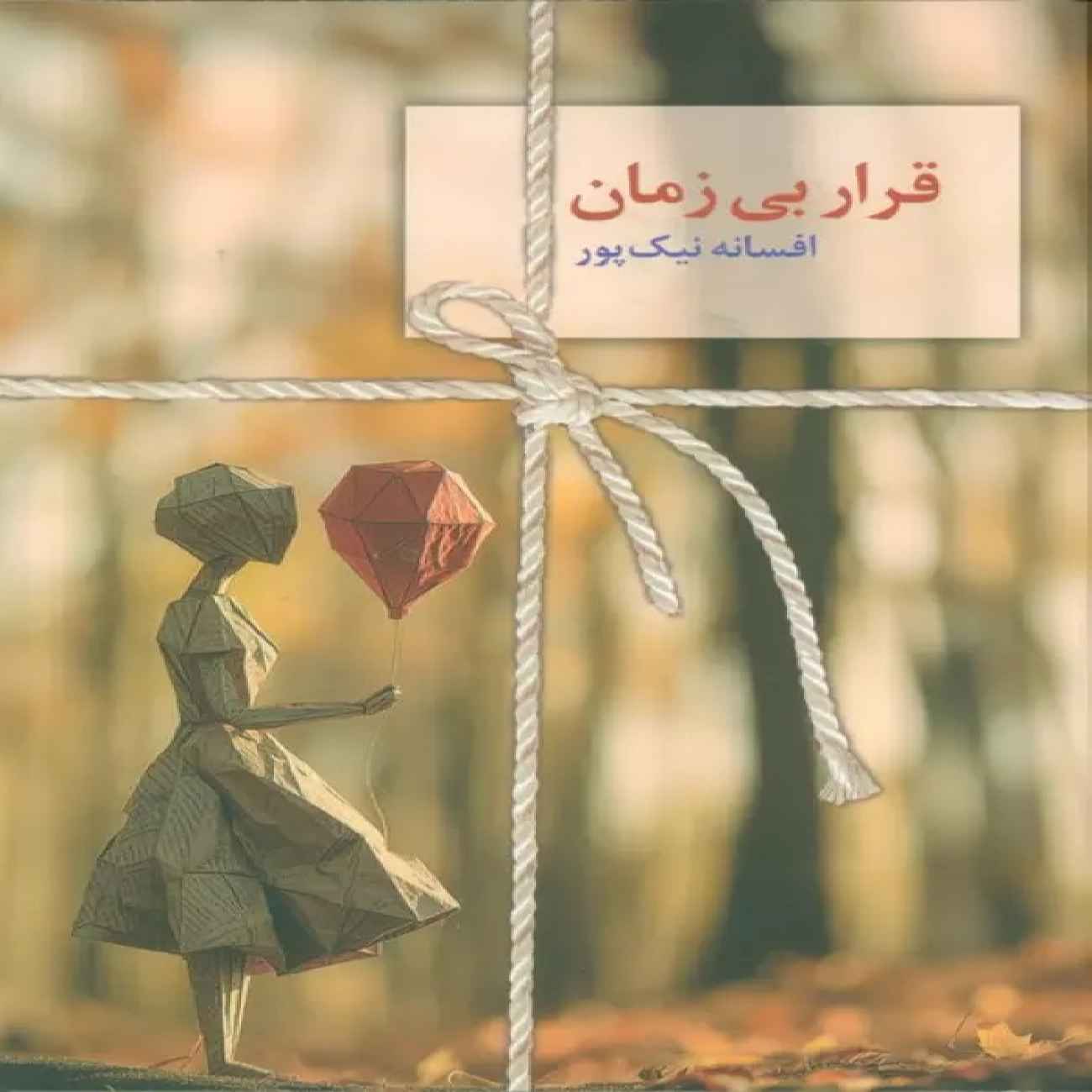 Timeless Meeting Book by Afsaneh Nikpour (Farsi)