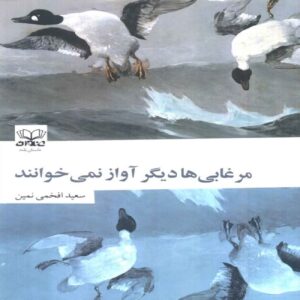 When the Ducks No Longer Sing Book by Saeed Afkhami Namin