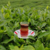 Thumbnail 5: Premium Iranian Bahareh Broken Black Tea – 1000g (2x)
