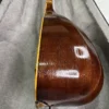 Thumbnail 2: Handcrafted Persian Tanbur by Ne'matollahi – A long-necked, fretted lute featuring a ribbed mulberry wood bowl