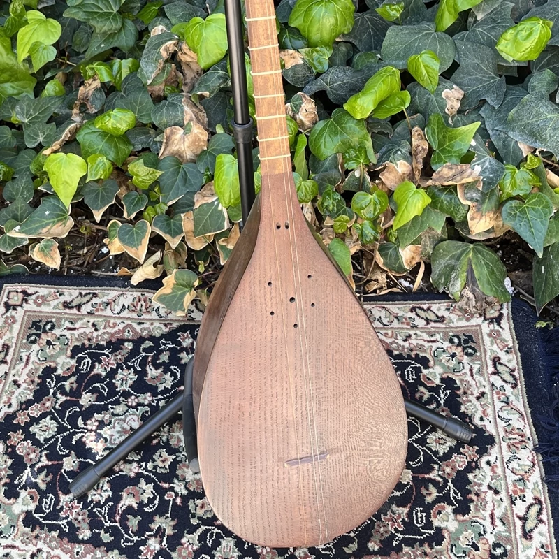 Main image of Luxury Persian Tanbur by Ne'matollahi – Handcrafted Artisan Mulberry Wood Masterpiece