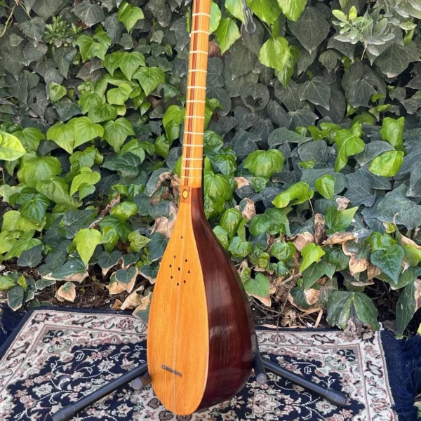 Persian Tanbur, Handcrafted by Ne'matollahi — with a Neck Decorated in Jujube Design (2)