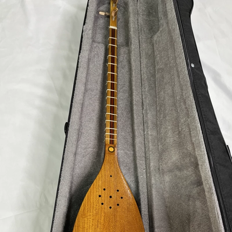 Persian Tanbur, Handcrafted by Ne’matollahi – Long-necked fretted lute with a ribbed bowl made of mulberry wood
