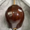 Thumbnail 4: Persian Tanbur, Handcrafted by Ne'matollahi – Long-necked fretted lute with a ribbed bowl made of mulberry wood