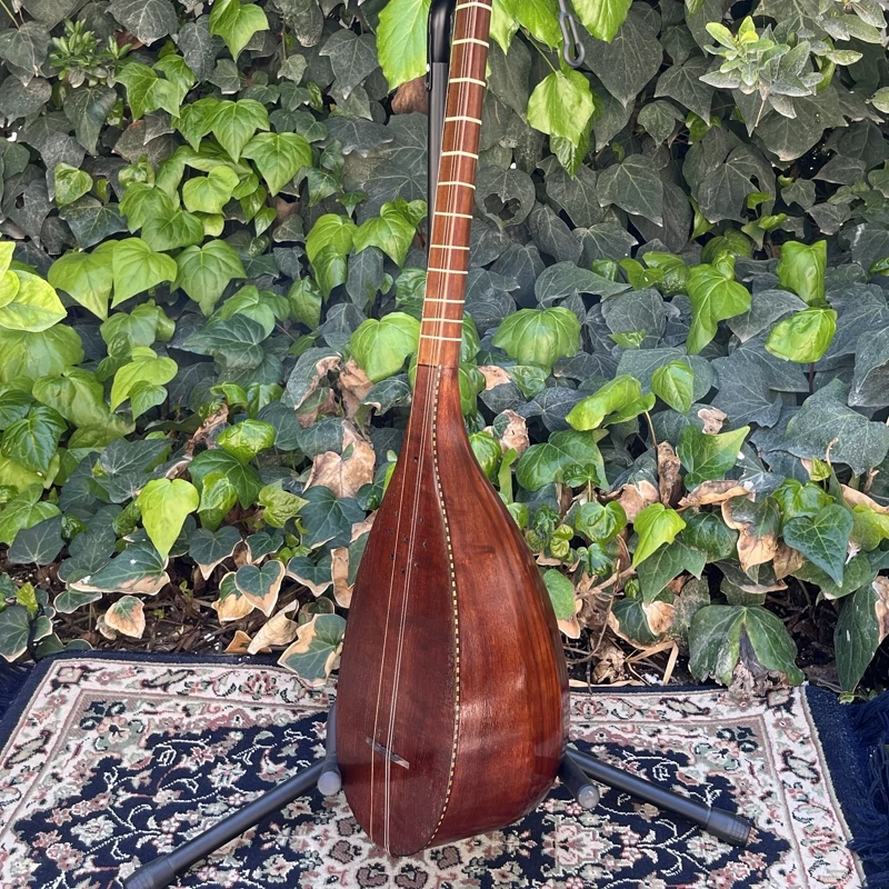 Main image of Persian Tanbur by Ne'matollahi – A beautifully handcrafted ribbed mulberry wood fretted lute