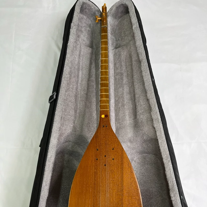 Persian Tanbur by Soozani – A Long-Necked, Fretted Lute Handcrafted from Mulberry and Walnut