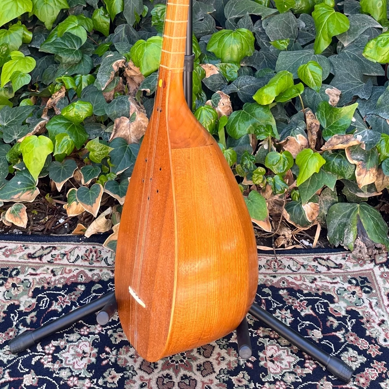 Main image of Persian Tanbur by Soozani – A Long-Necked, Fretted Lute Handcrafted from Mulberry and Walnut