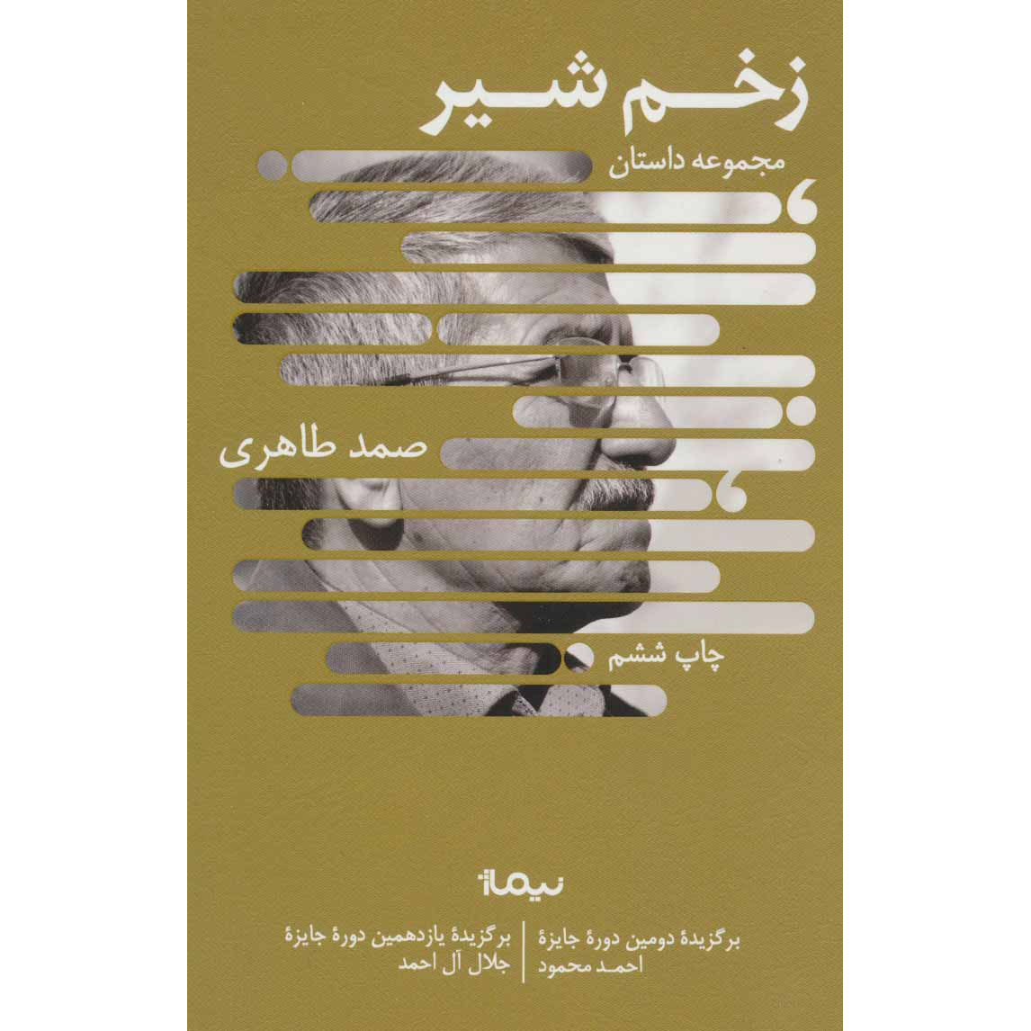 Main image of Lion Wound book by Samad Taheri