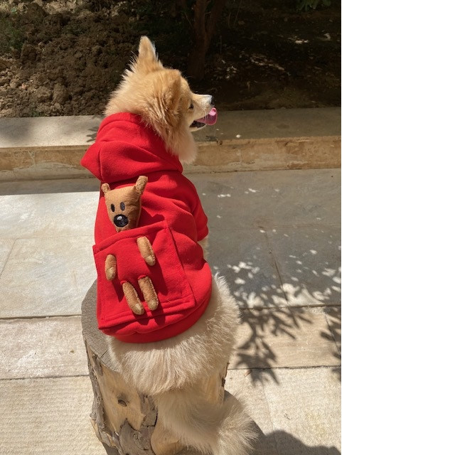 XXL Maroon Pet Hoodie with Teddy Mr. Bean Plush – Hooded Design & Metal Clip for Dogs & Cats