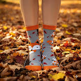 Gray Fancy Mismatch Socks with Fox & Autumn‑Leaves Pattern in Low‑Cut Ankle Novelty for Adults