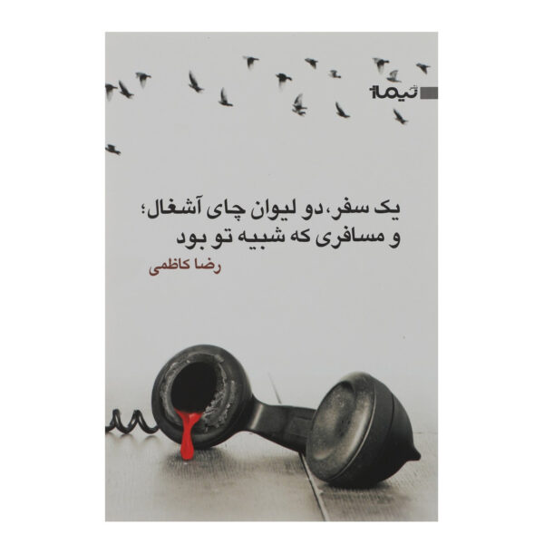 A Trip Two Glasses of Junk Tea; And a Passenger Like You Book by Reza Kazemi