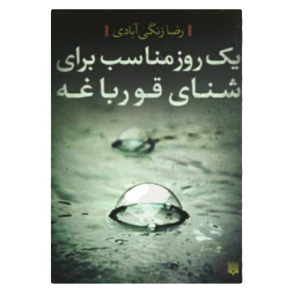 A perfect Day to Swim a Frog Book by Reza Zangiabadi