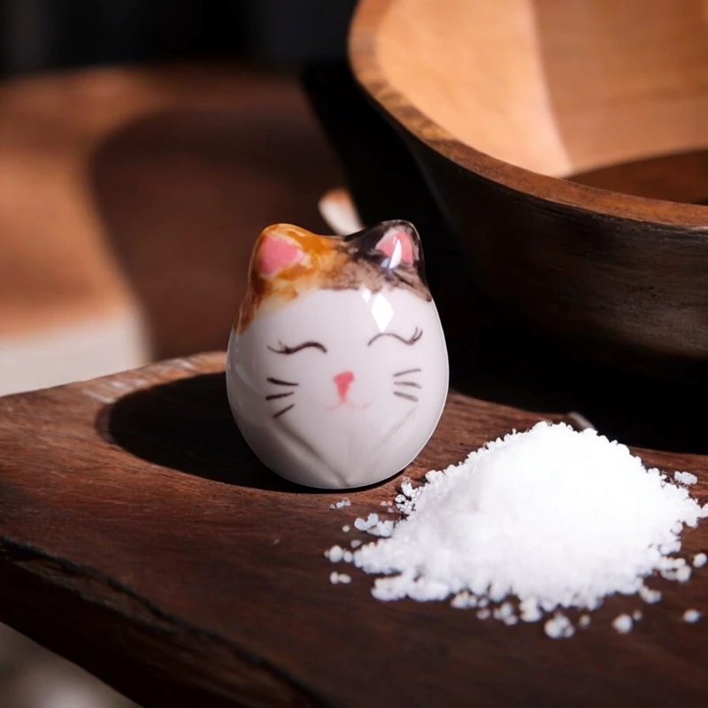 Handcrafted Ceramic Cat-Shaped Salt Shaker – Whimsical Decorative Kitchen Accessory for Salt and Spice Seasoning